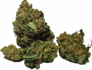 Amnesia-Haze_Mavelos_Ettelbruck_Buds_Luxembourg_CBD Shop_Weed
